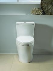 toilet_dual_flush.jpg